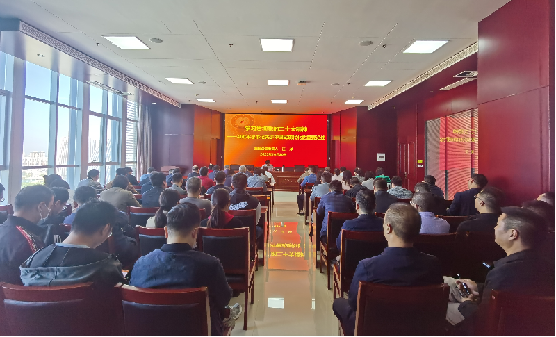 紧跟核心强忠诚 在深学细悟中坚定信仰信念 ——HTH华体会（中国）体育官方网站-HTH.COM
负责人汪洋同志为全体党员讲授主题教育专题党课
